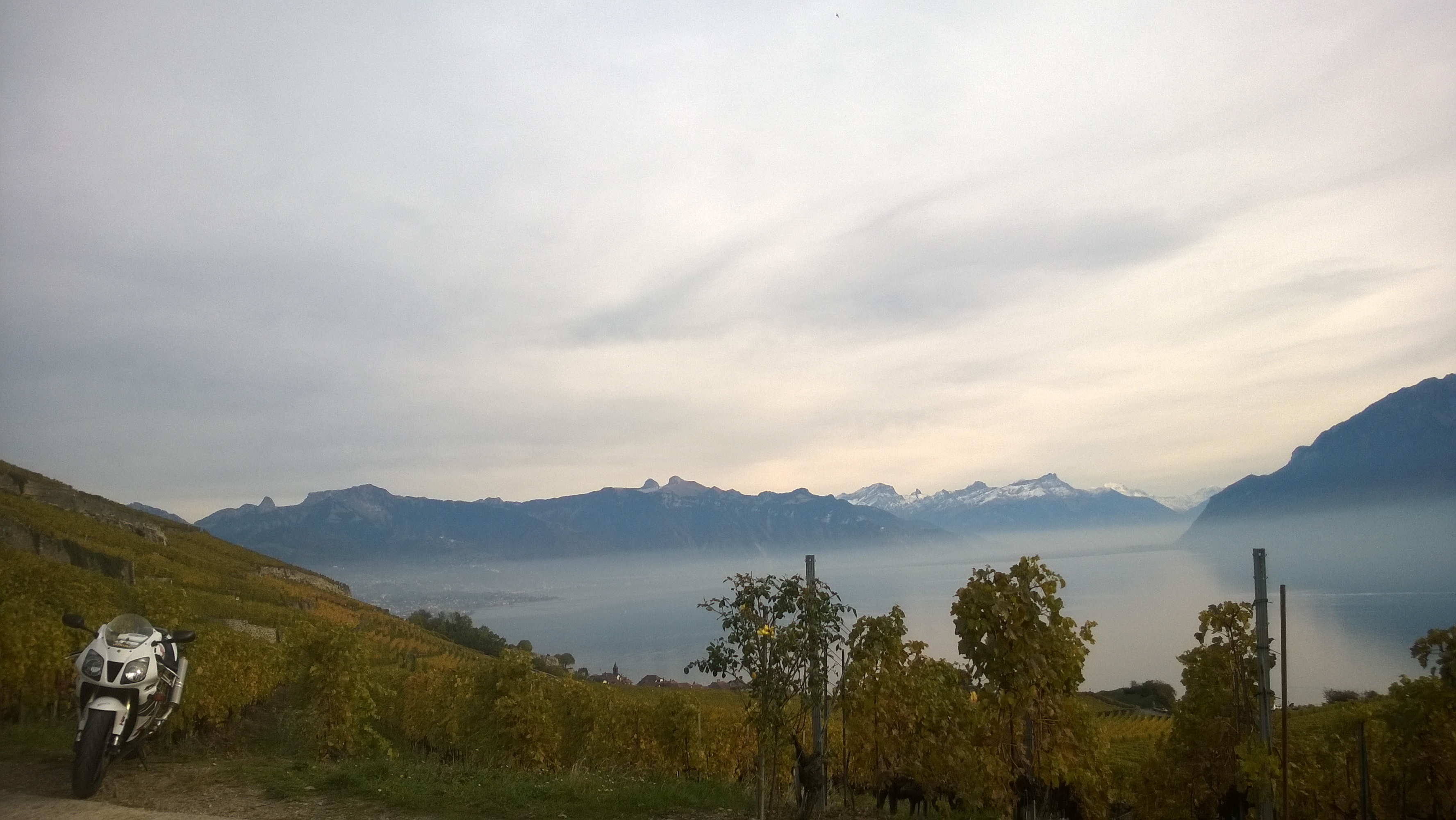 Photo 2762167