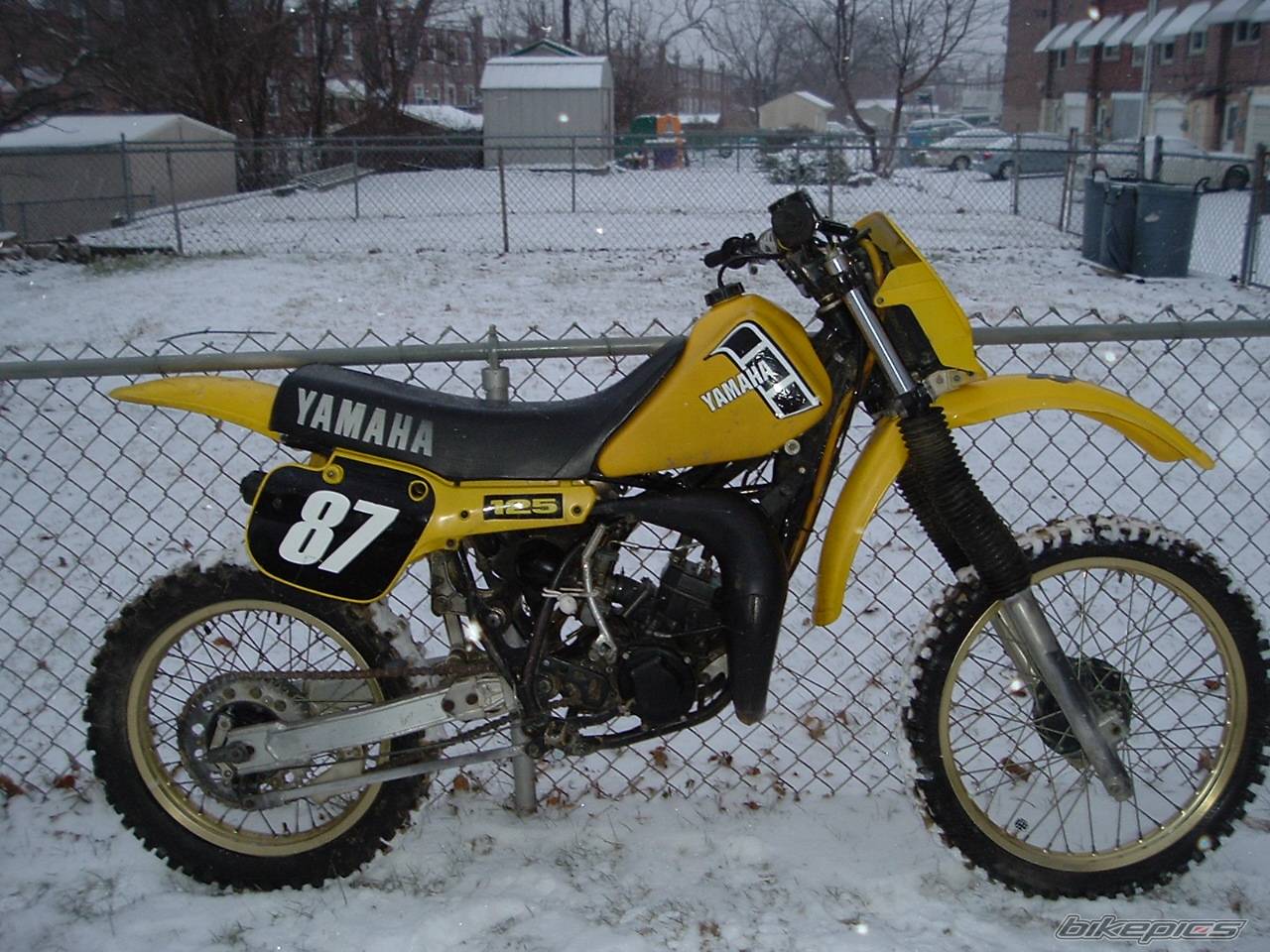 Photo 276463