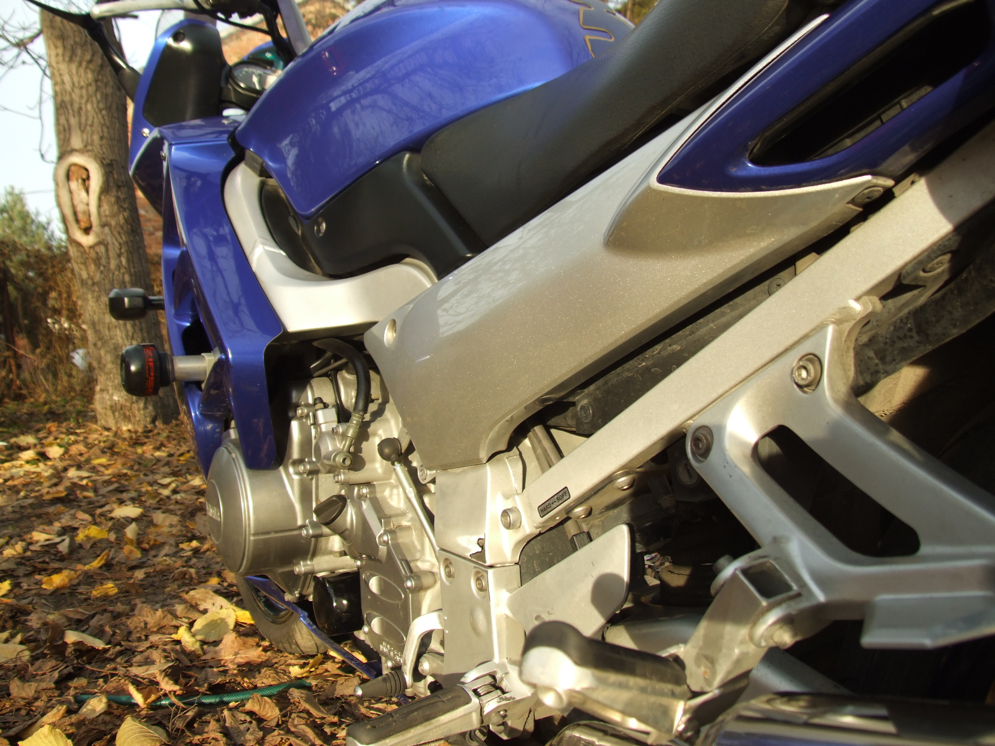 Photo 2765192