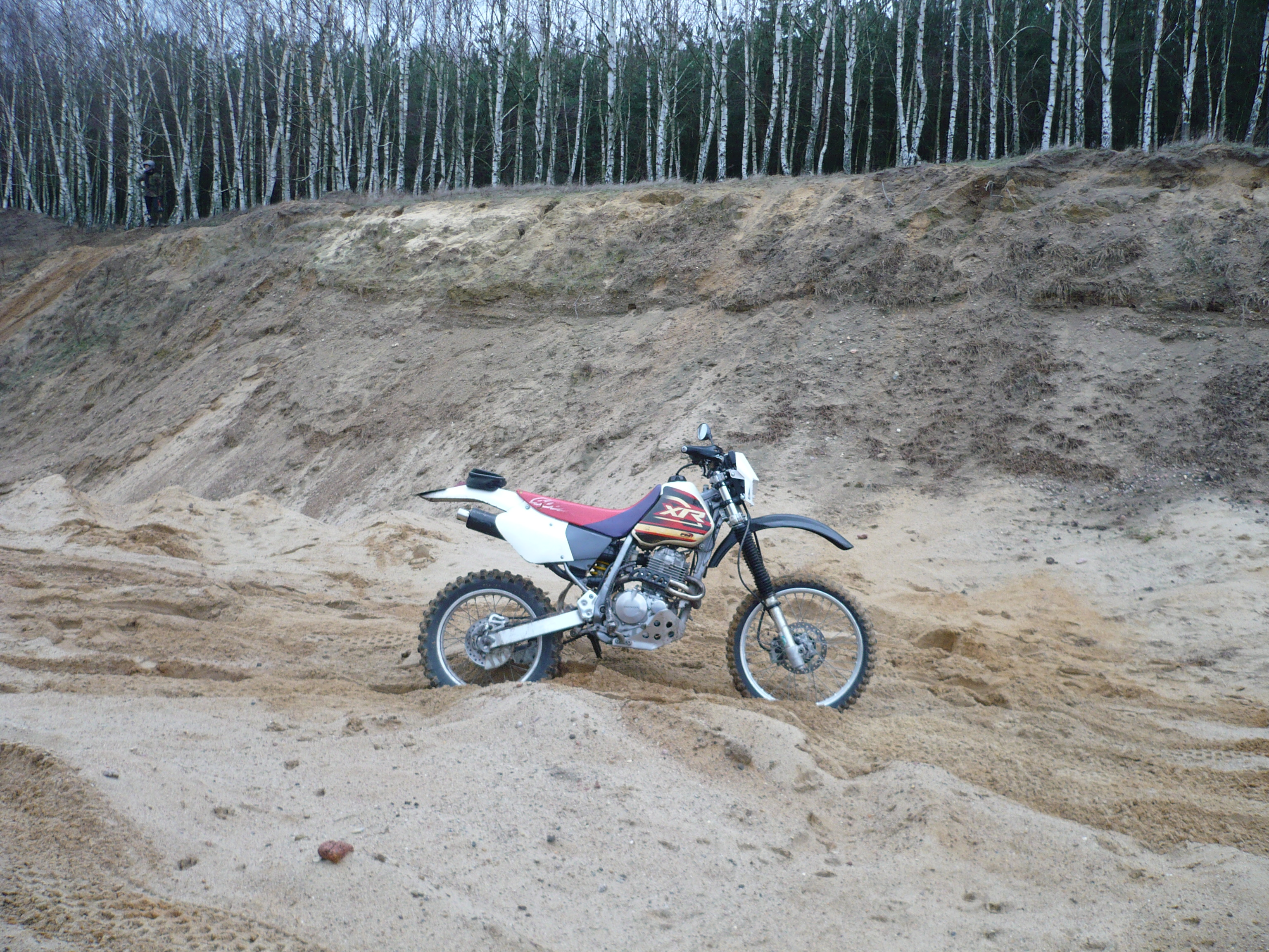 Photo 2765849