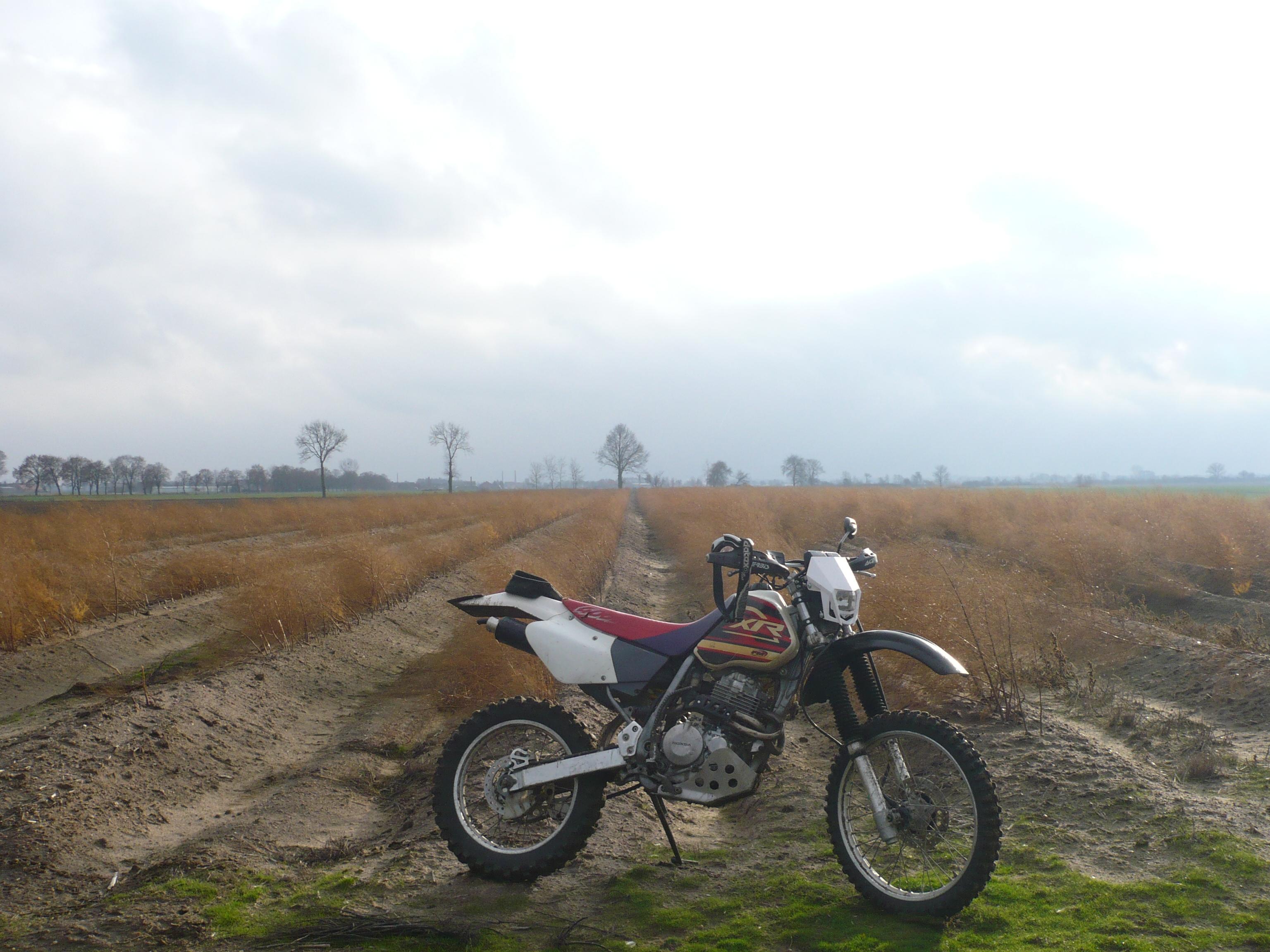 Photo 2765858