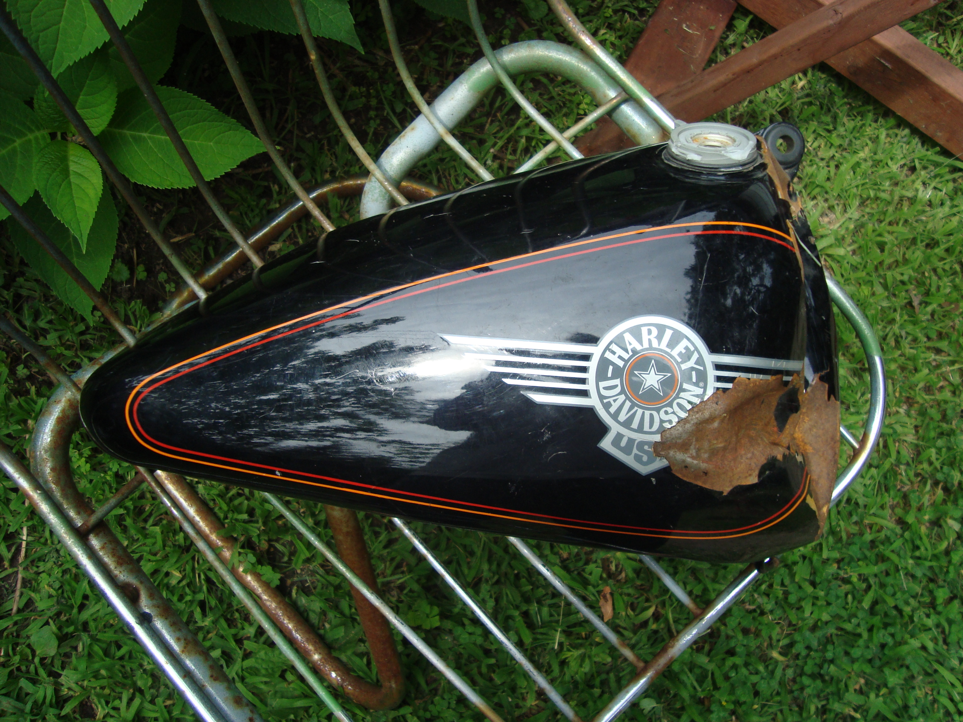Photo 2766228