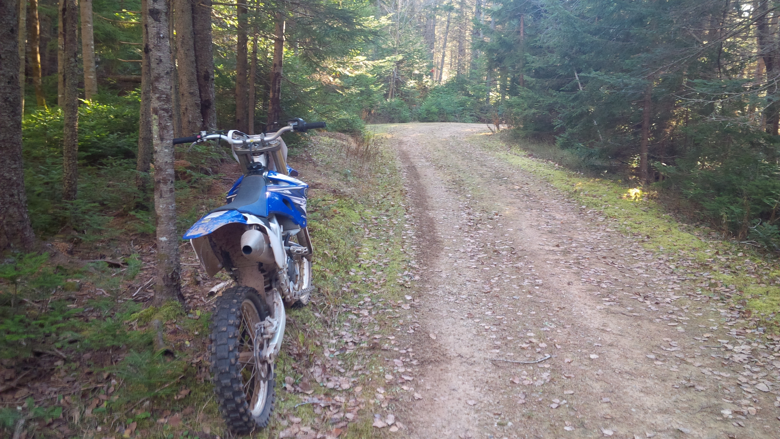 Photo 2767058