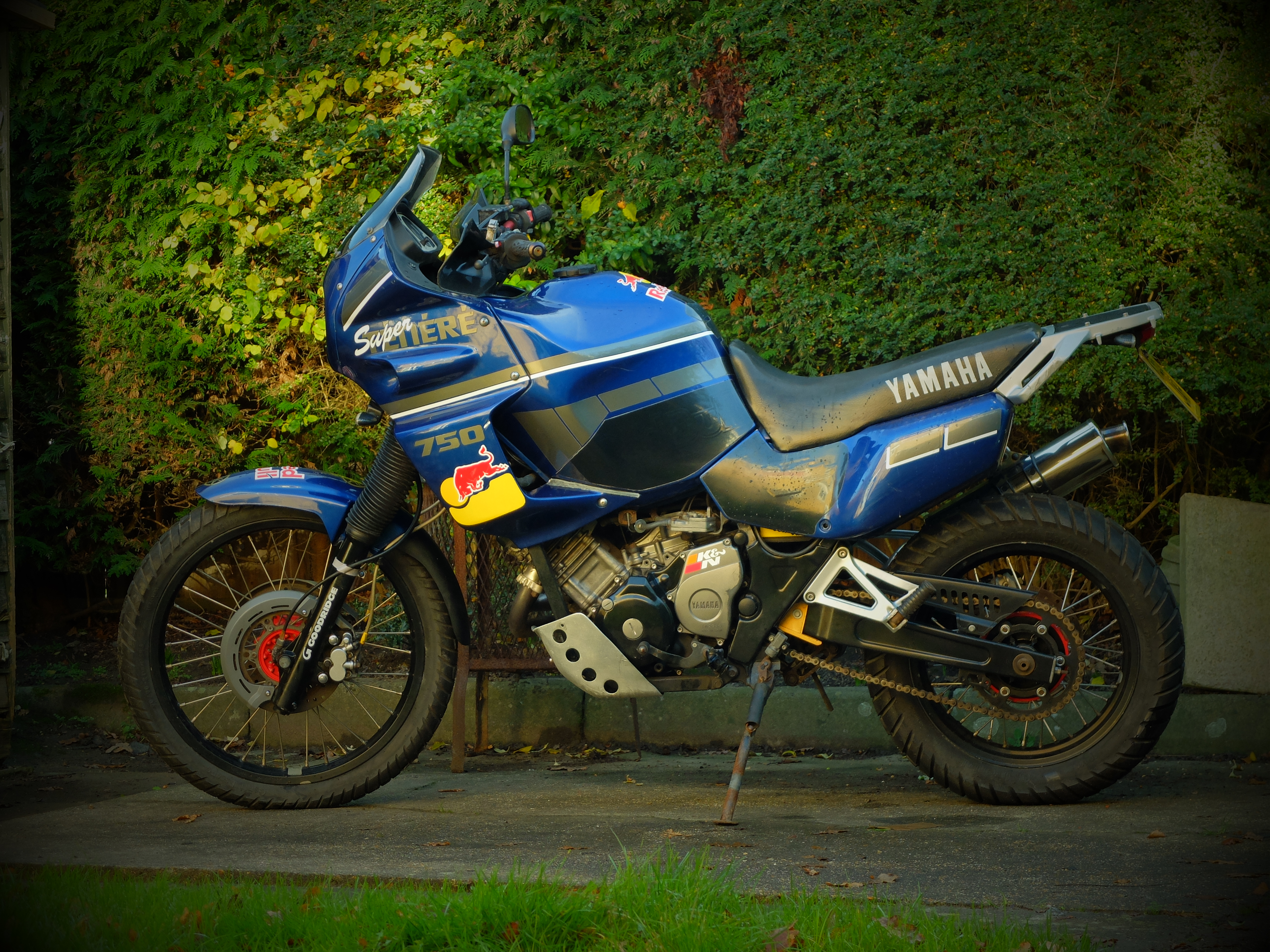 Photo 2767949