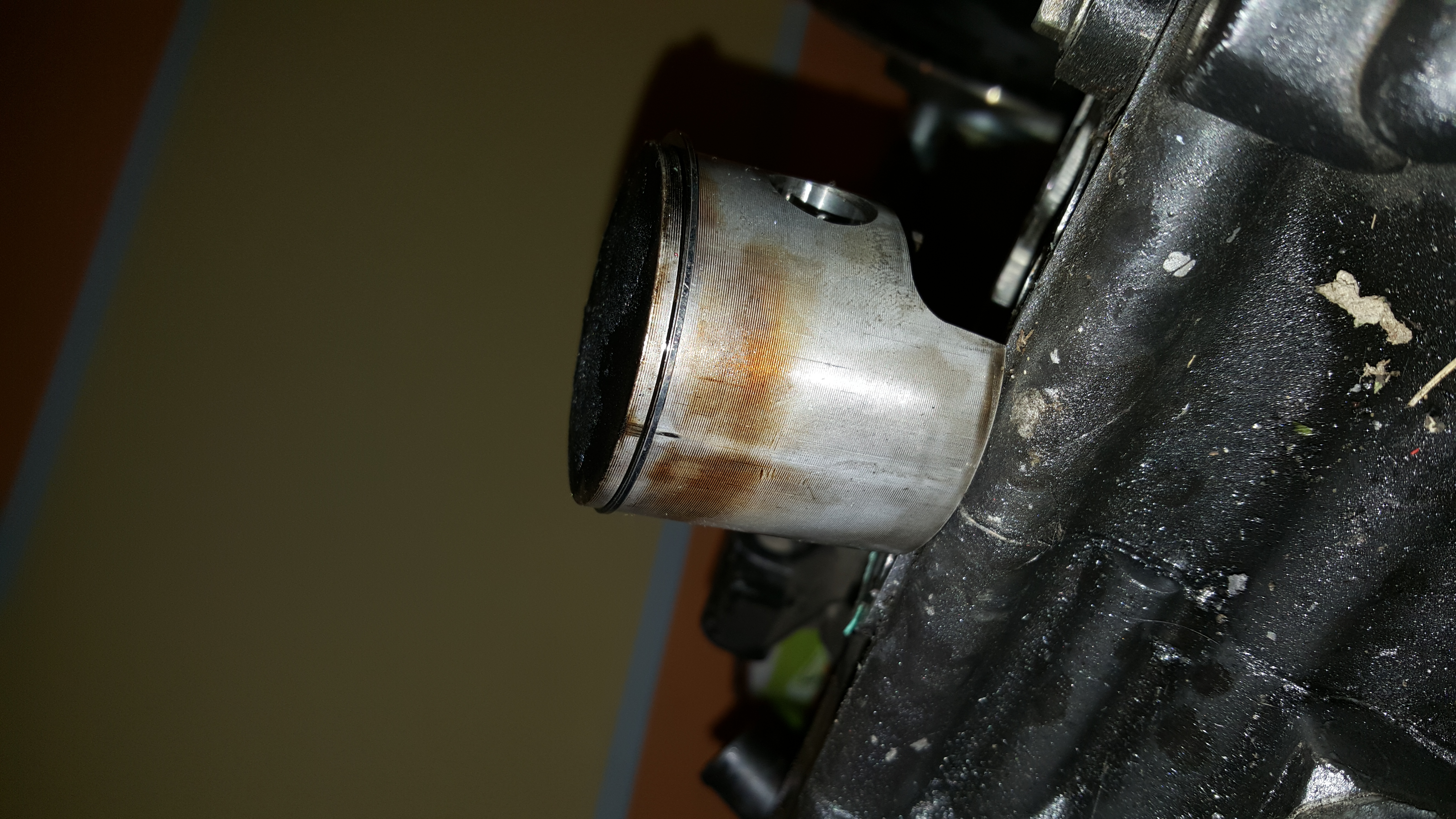 Photo 2768246