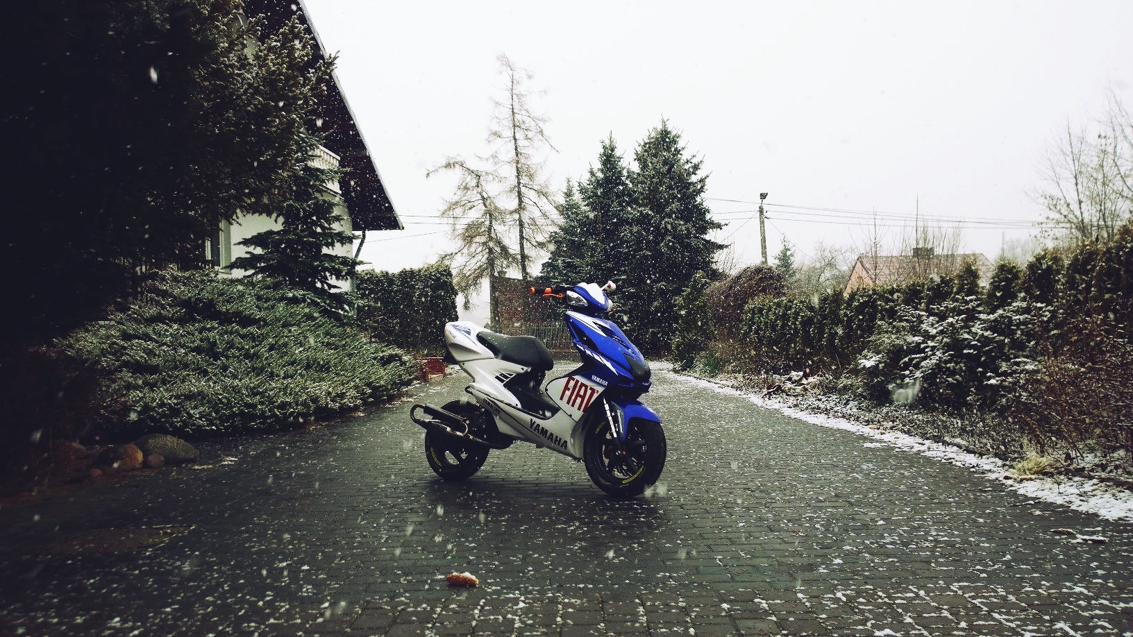 Photo 2768607