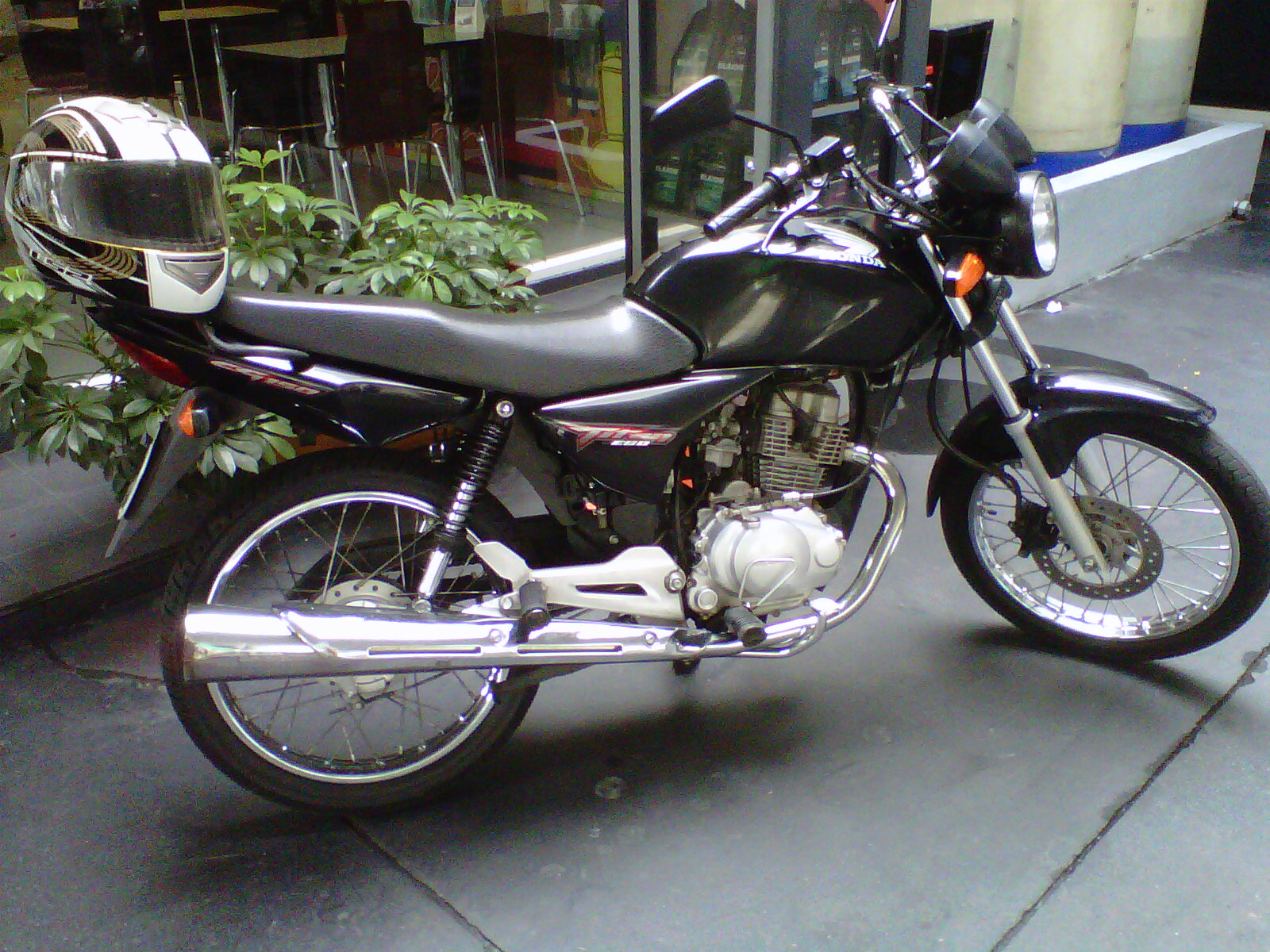 Photo 2769449
