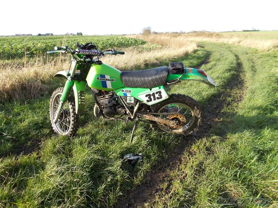 Photo 2769467