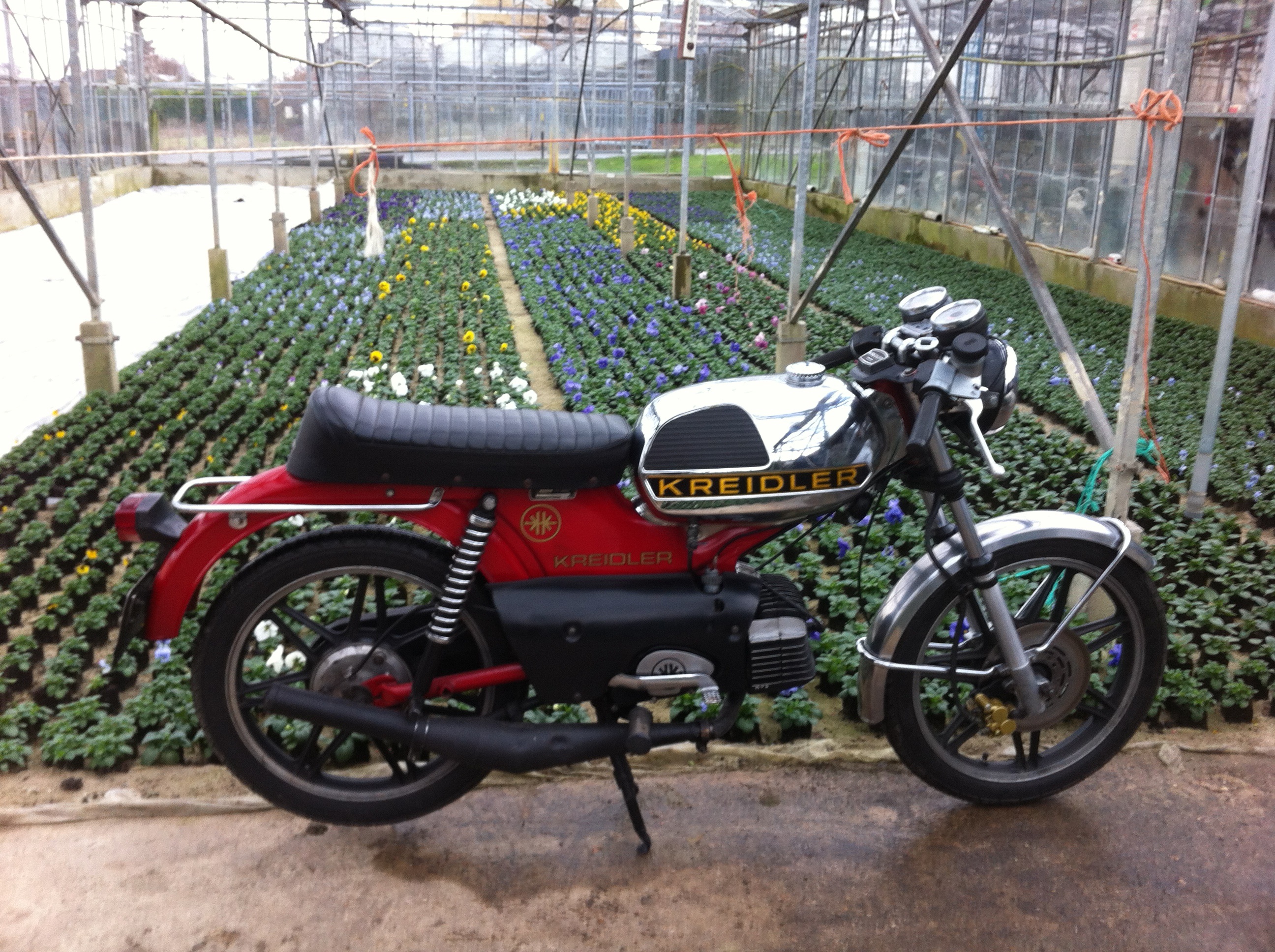Photo 2773946