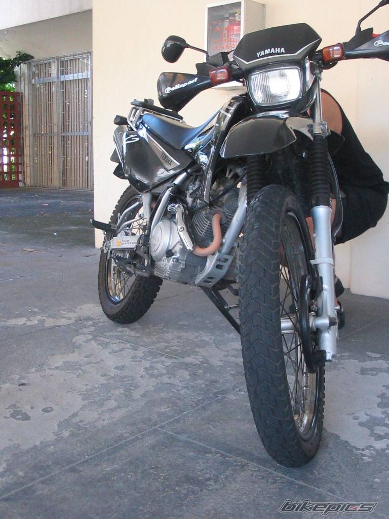 Photo 277591