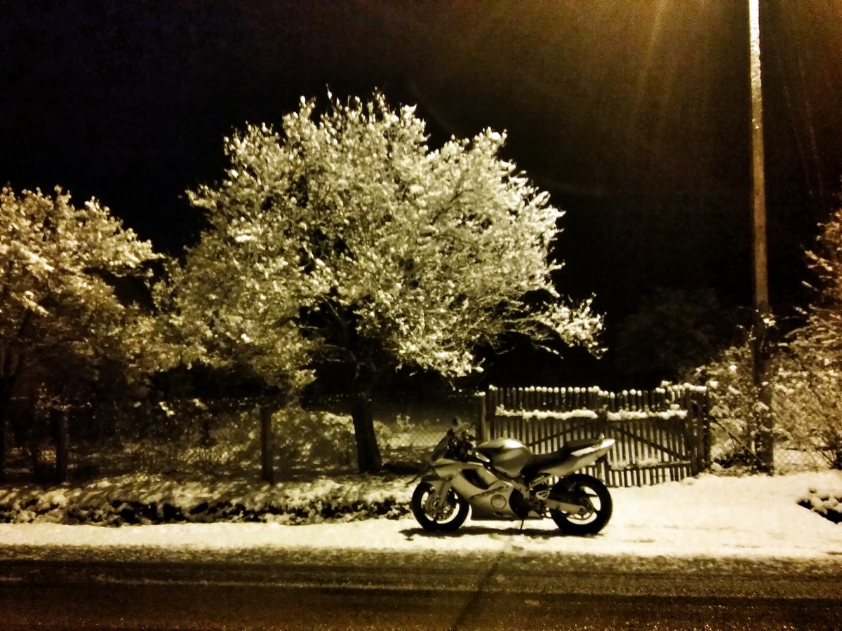 Photo 2776169
