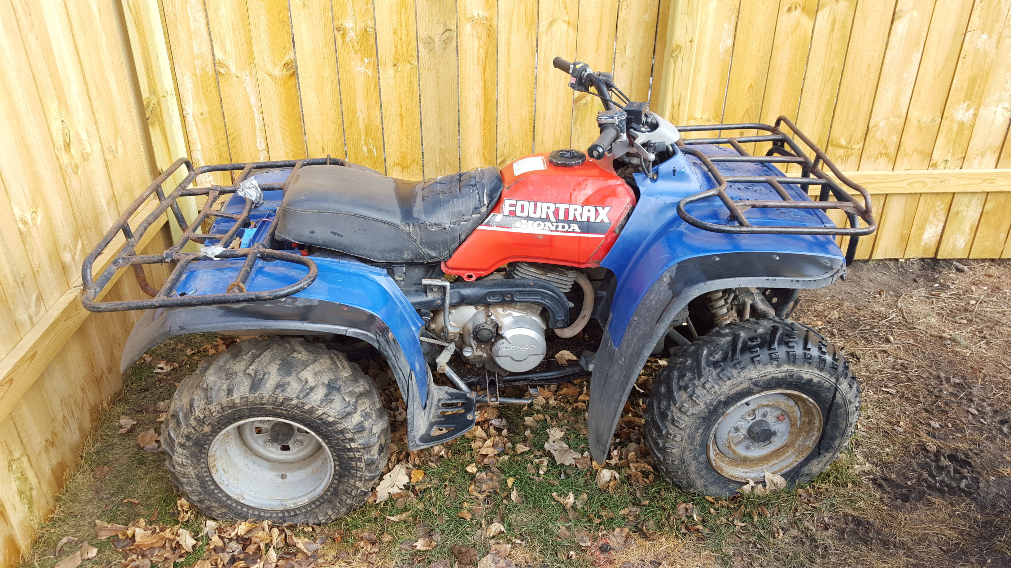 Photo 2776253