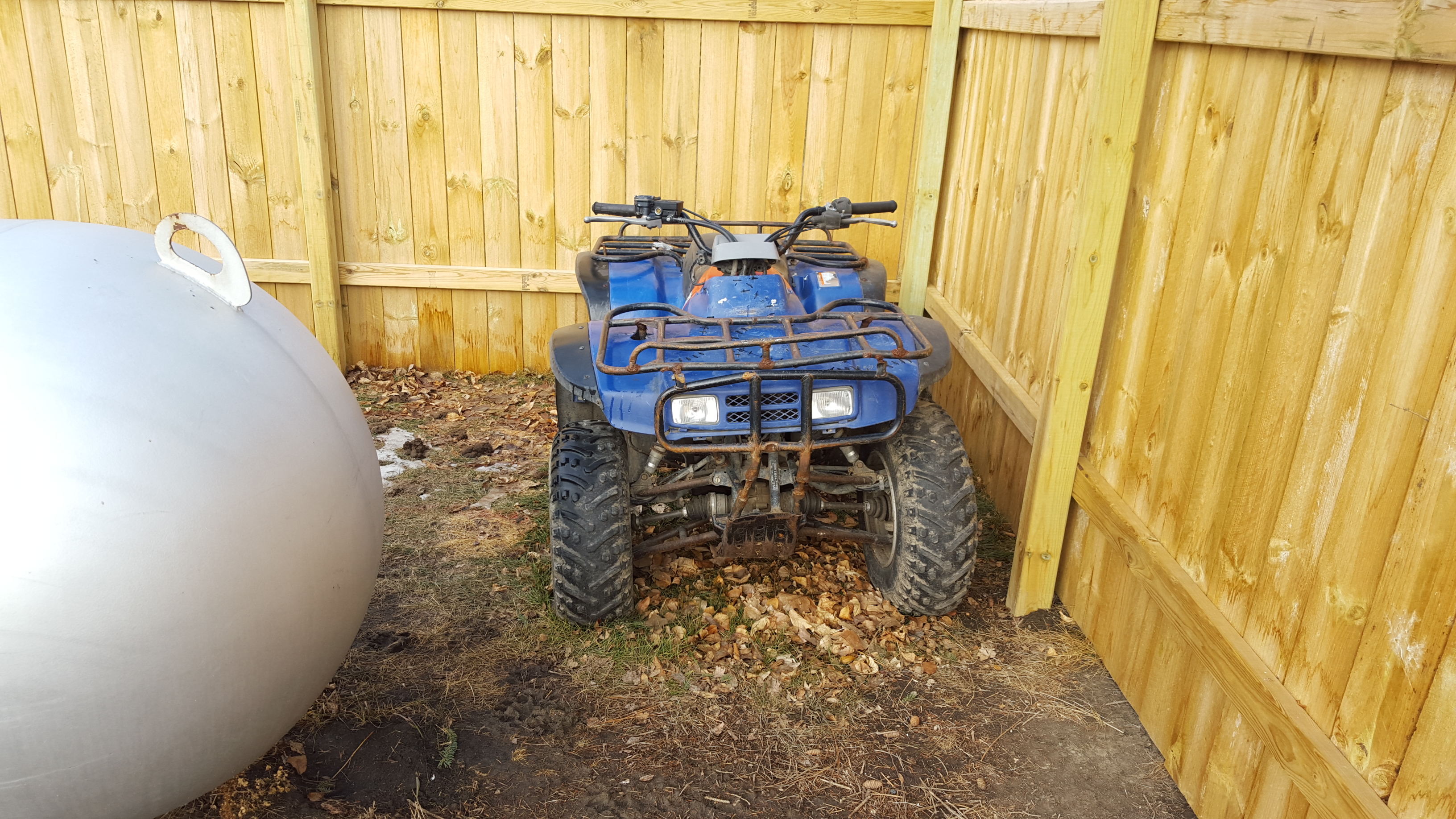 Photo 2776254
