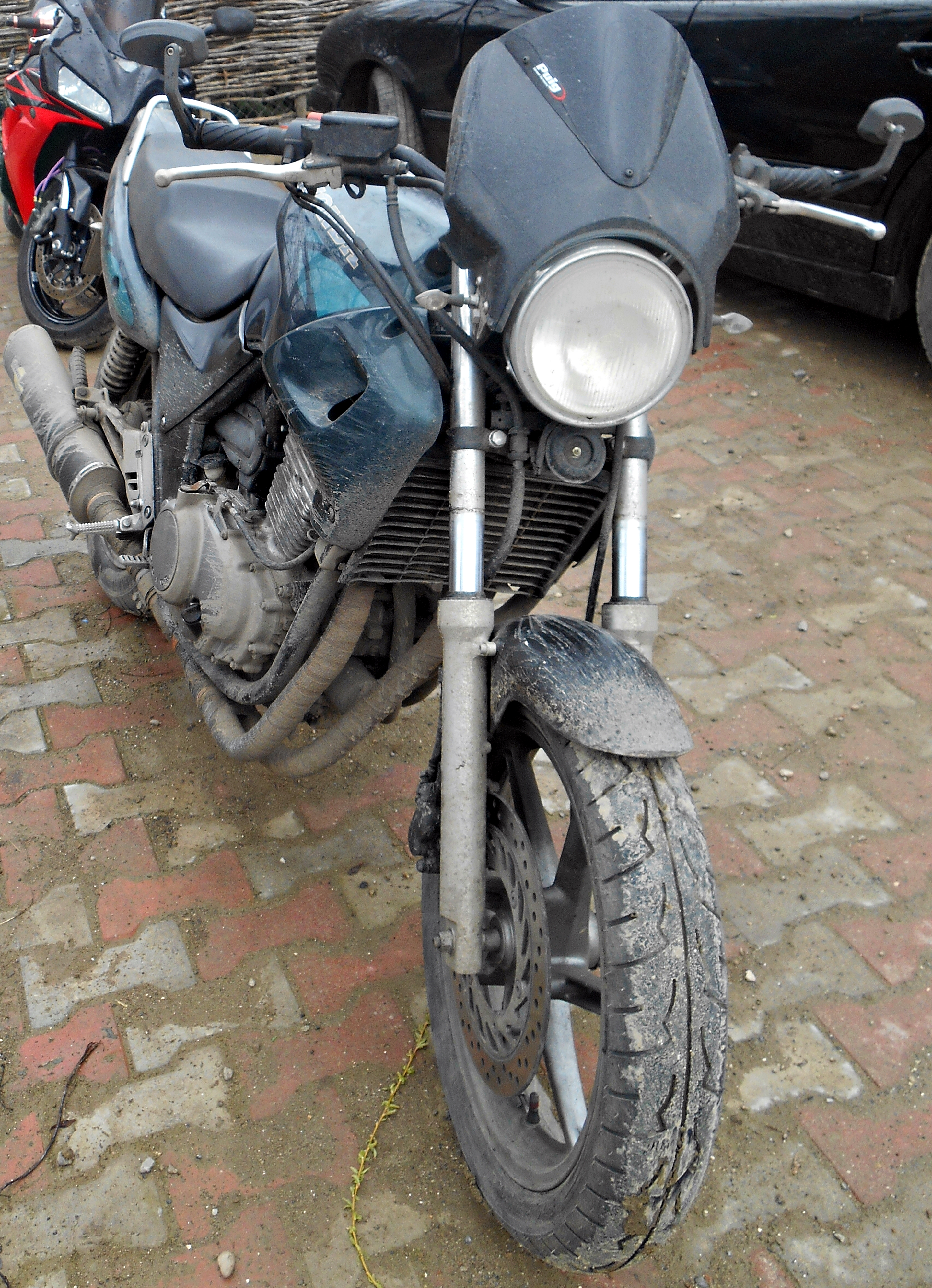 Photo 2778565