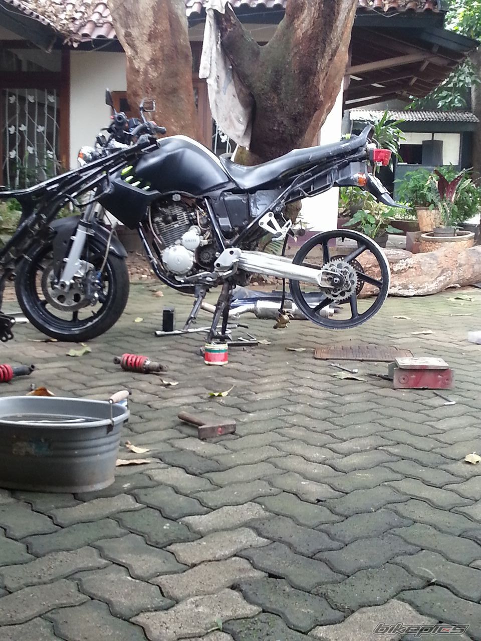 Photo 2779123