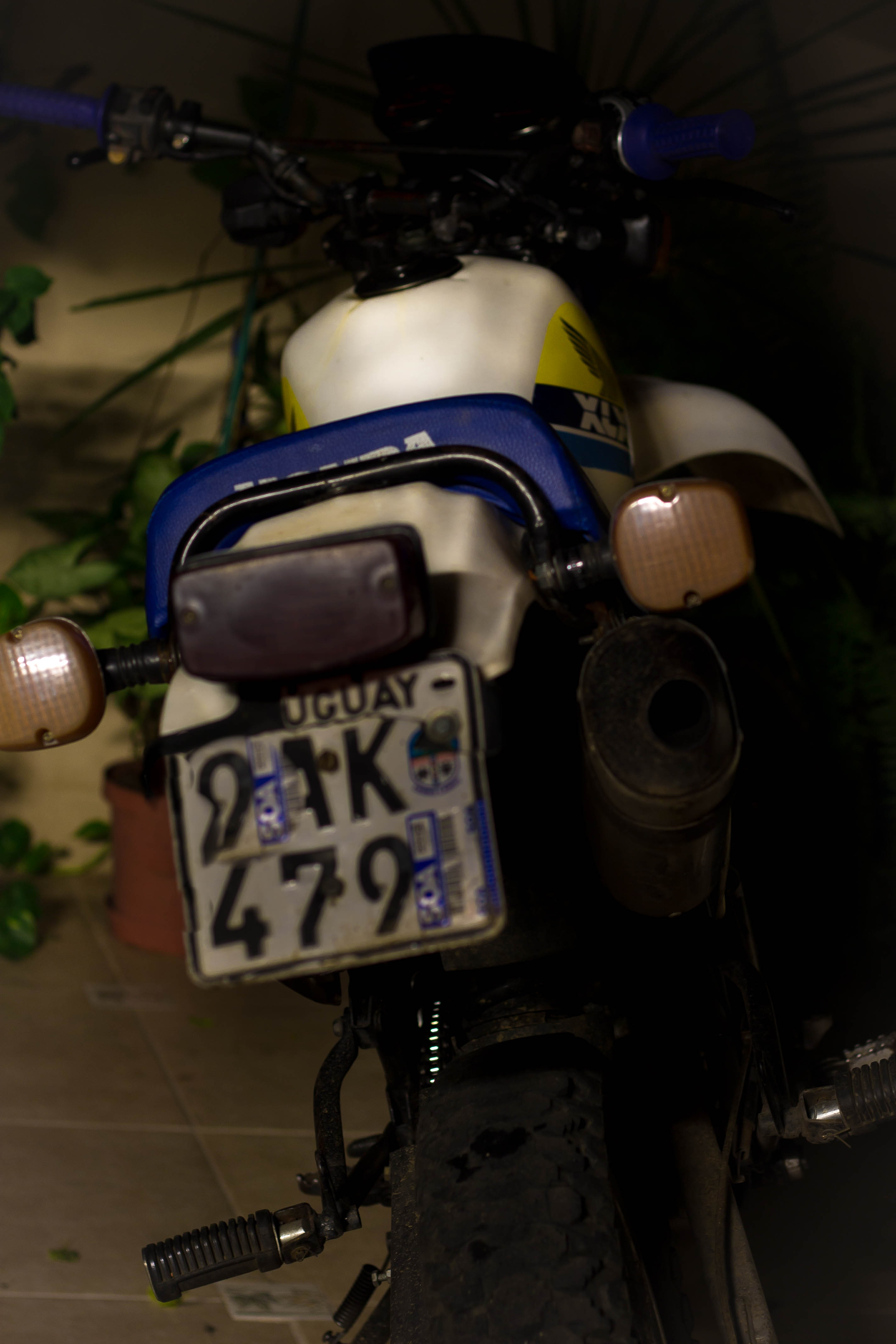 Bike Photo 2779797