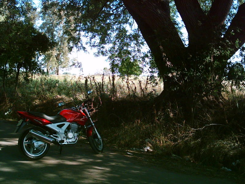 Photo 2782368