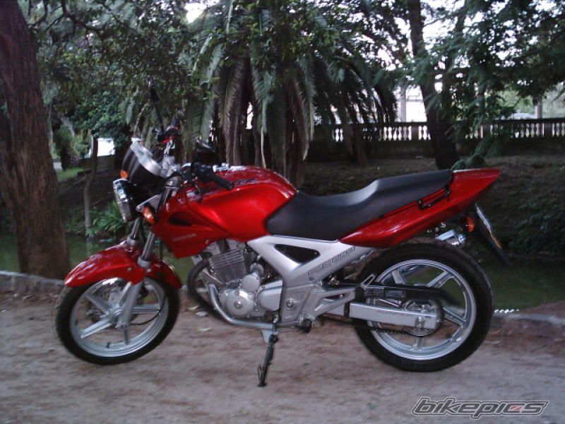 Photo 2782369