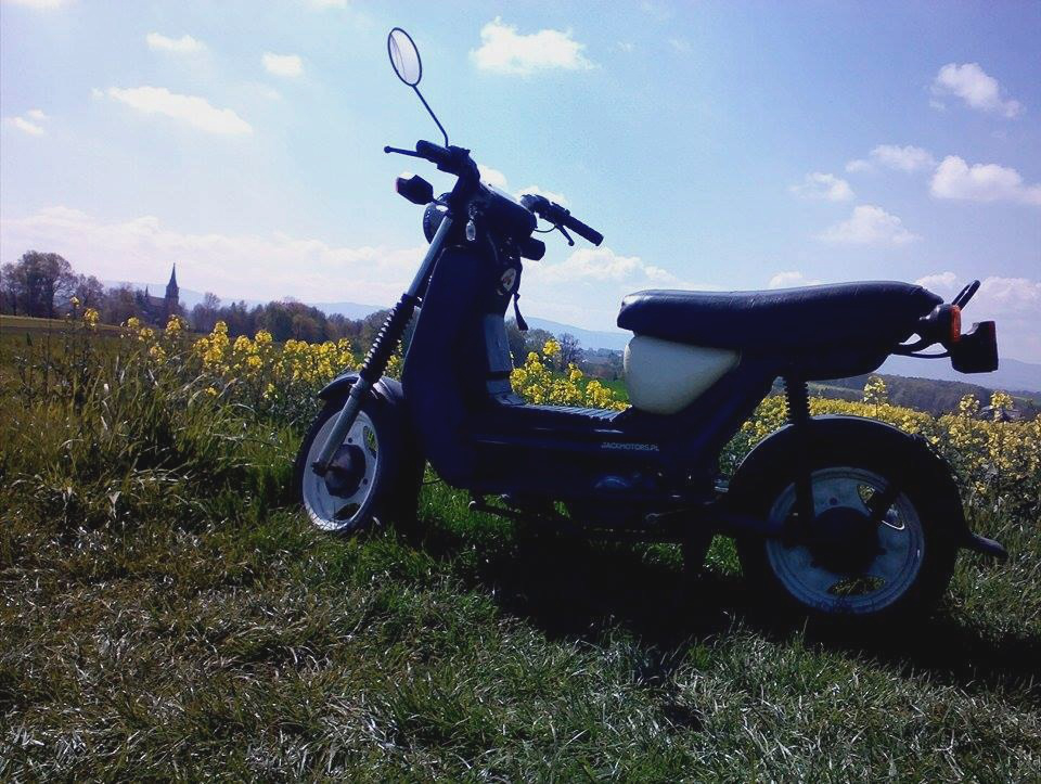 Photo 2782644