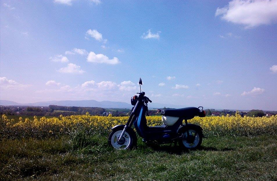Photo 2782645