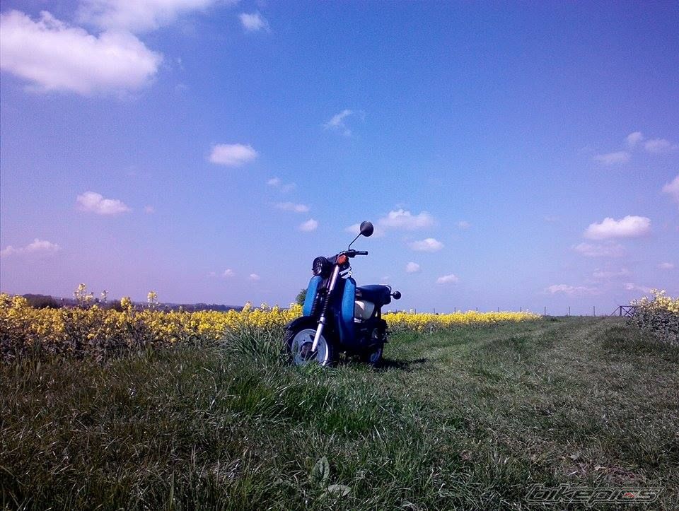 Photo 2782647
