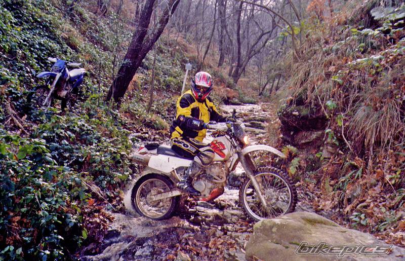 Photo 278421