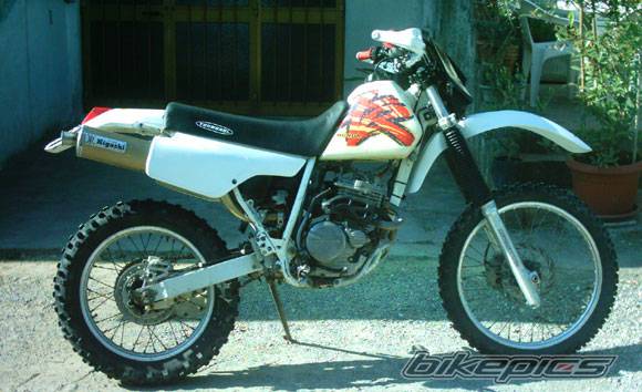 Photo 278422