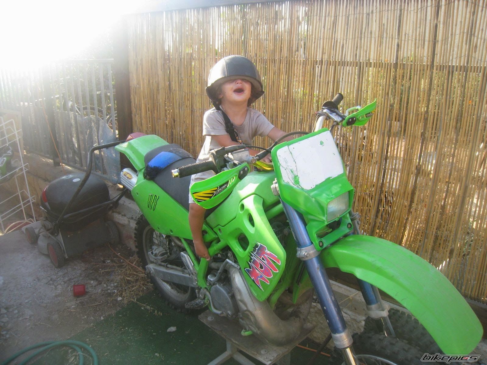 Photo 2784389