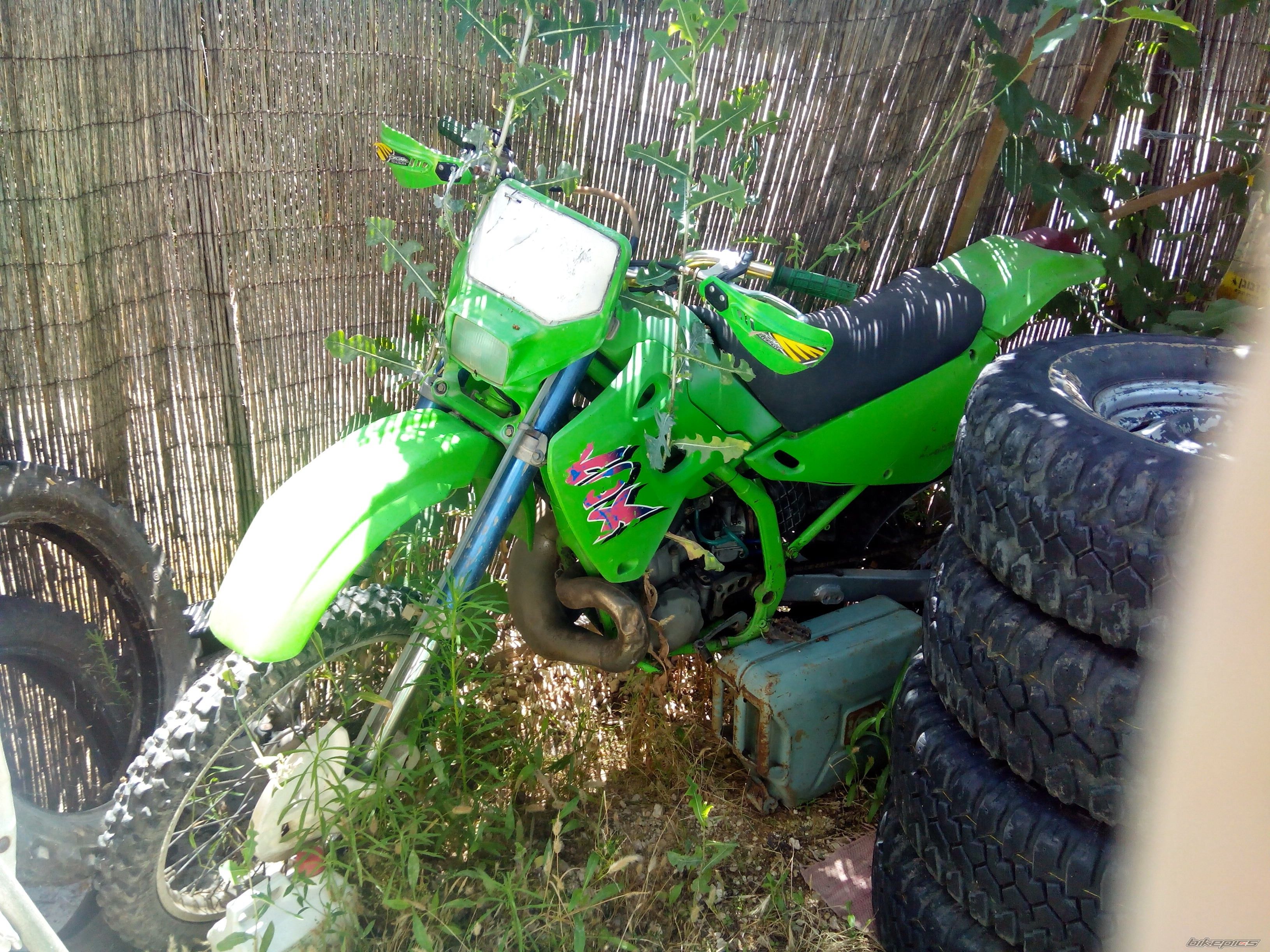 Photo 2784391