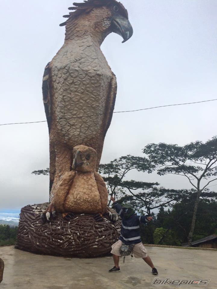 Photo 2784773