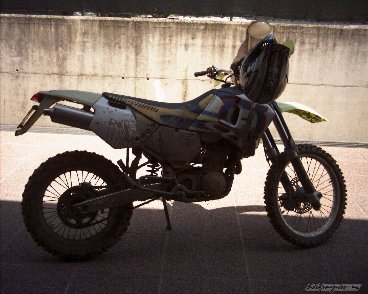 Photo 278752