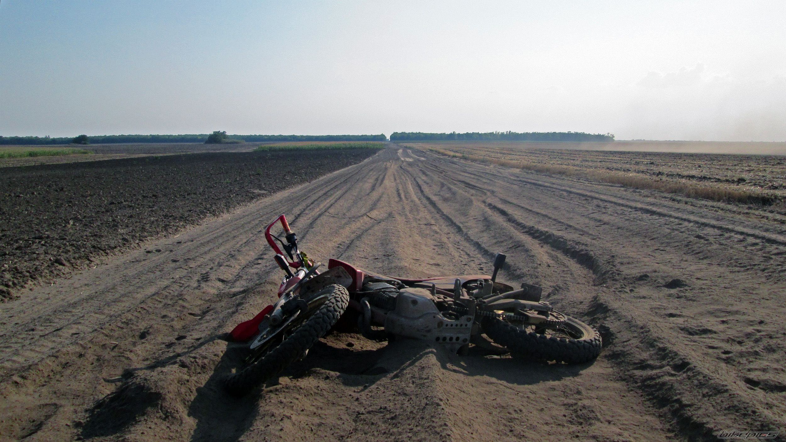 Photo 2788611