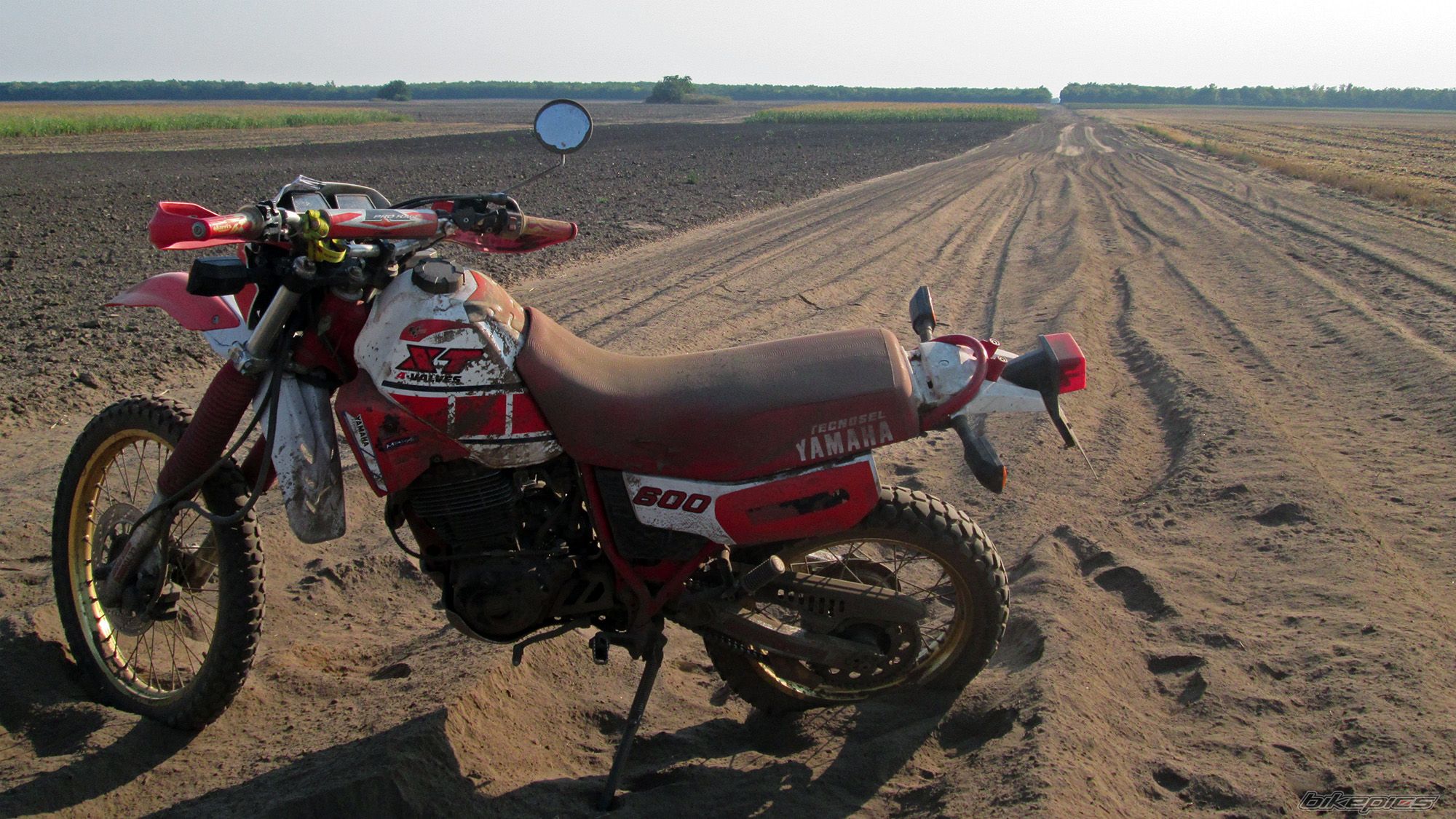 Photo 2788612
