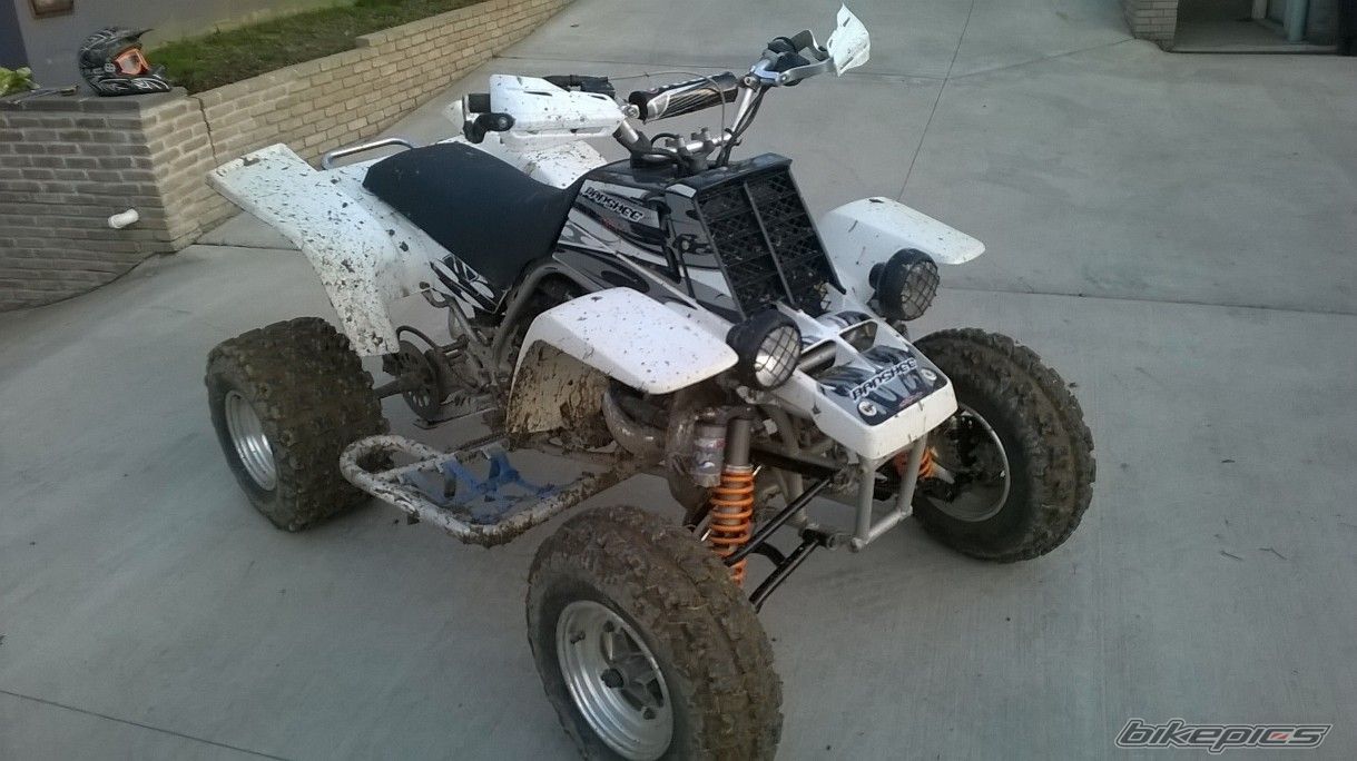 Photo 2788663