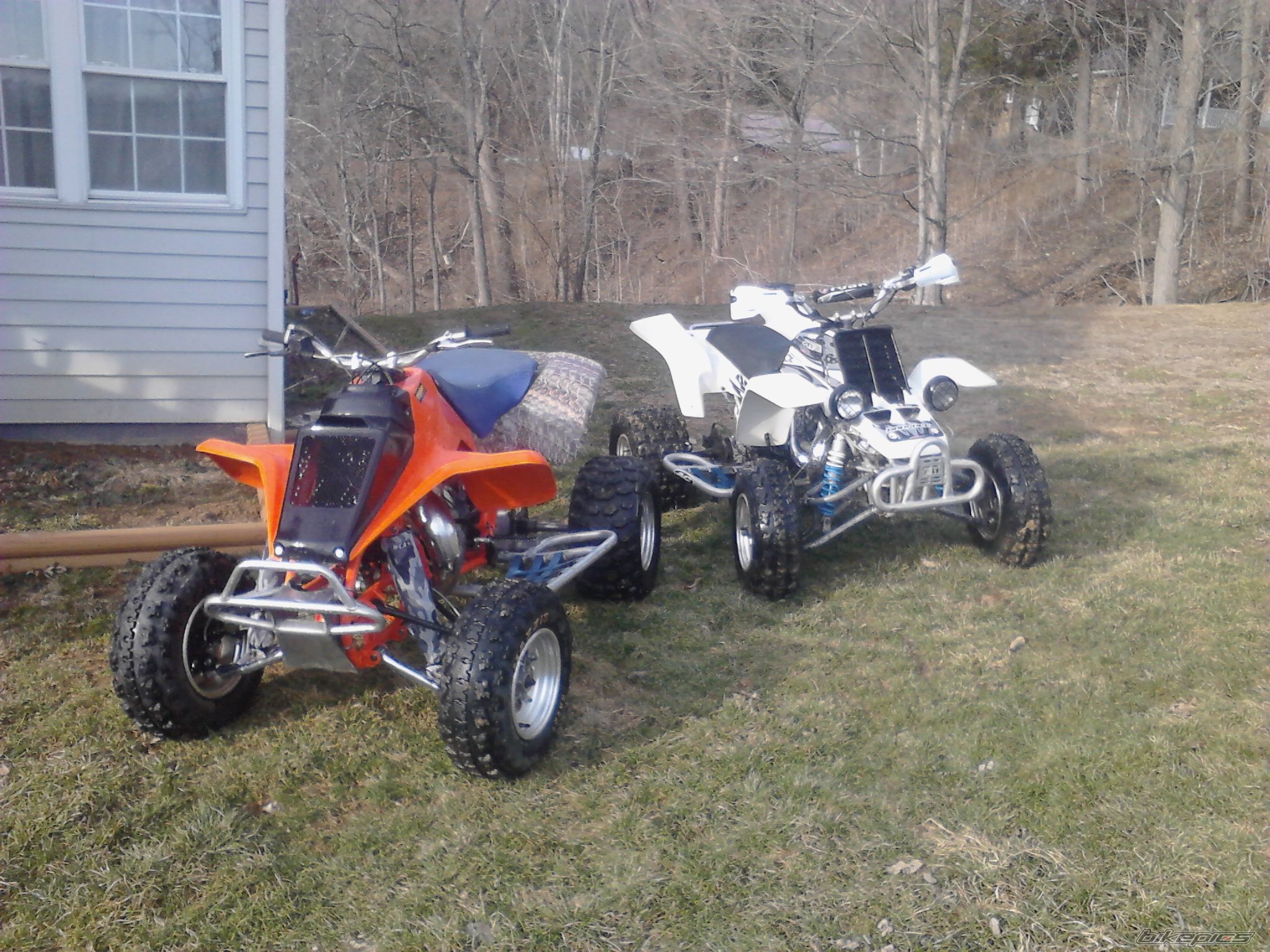 Photo 2788669