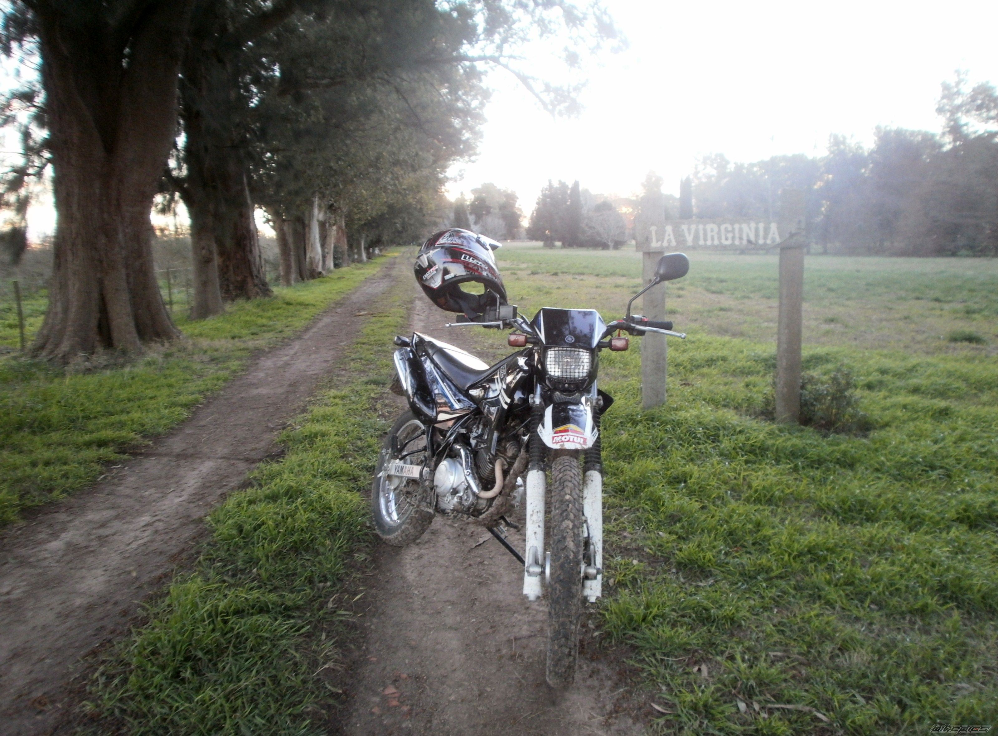 Bike Photo 2789404