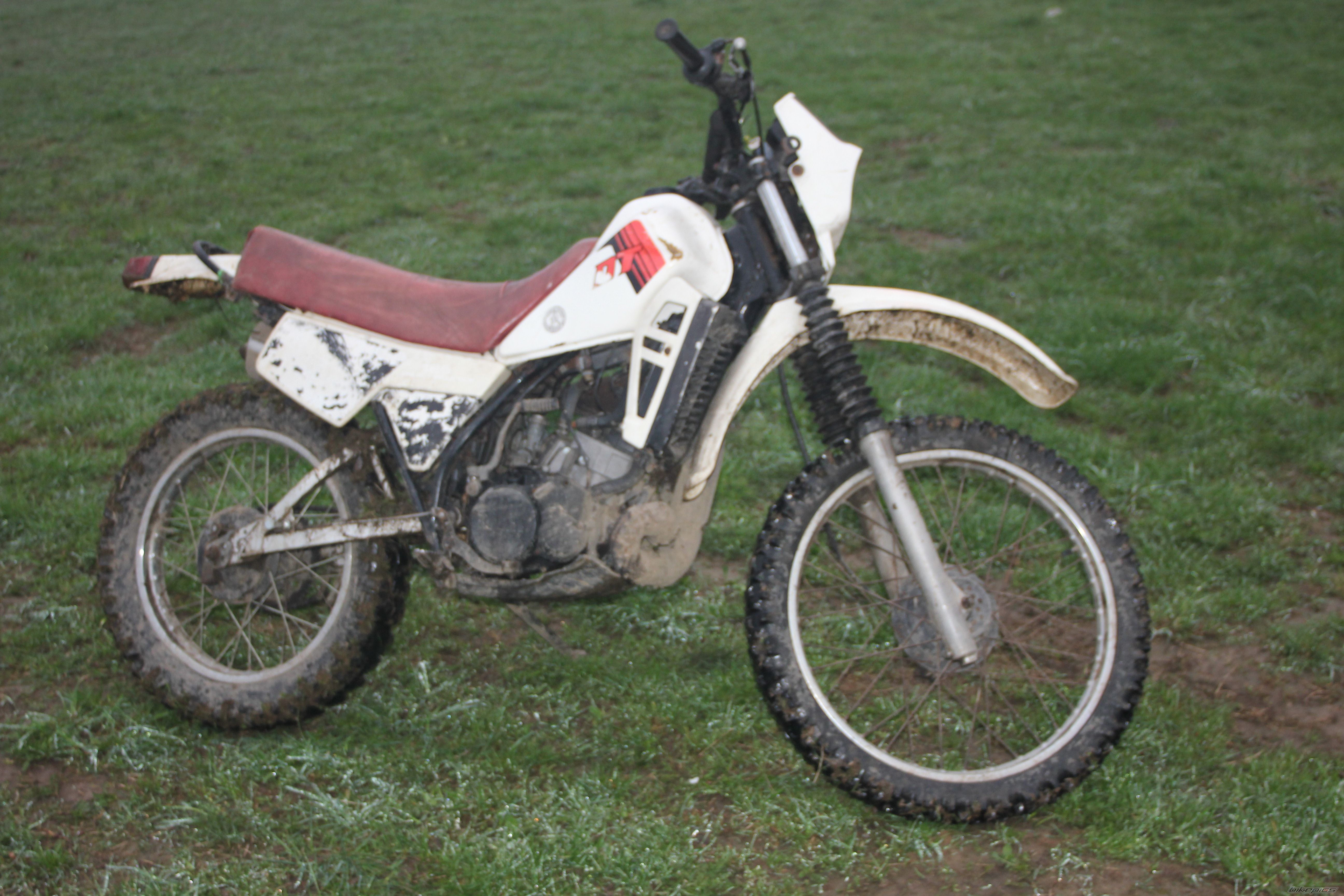 Photo 2789496