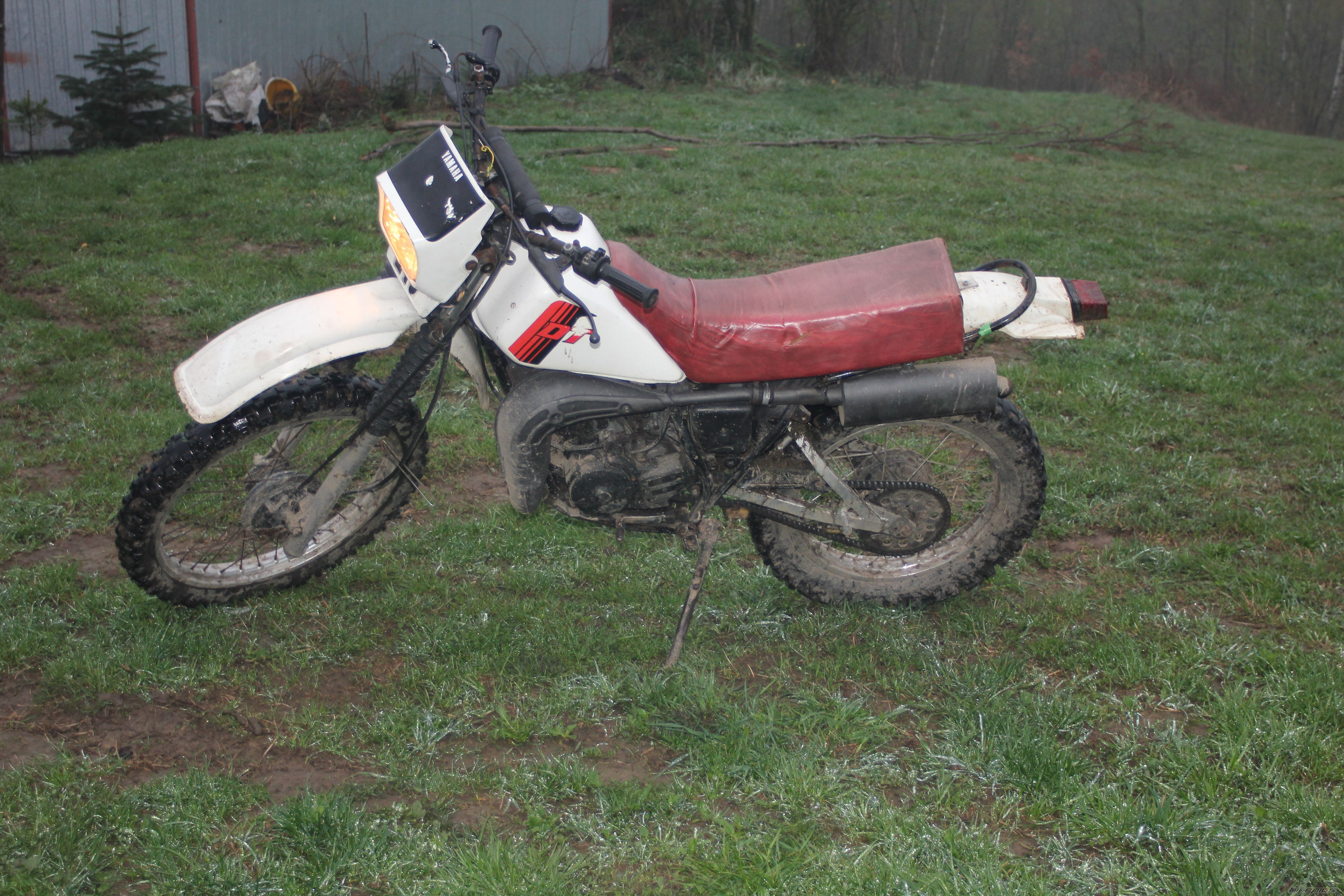 Photo 2789497