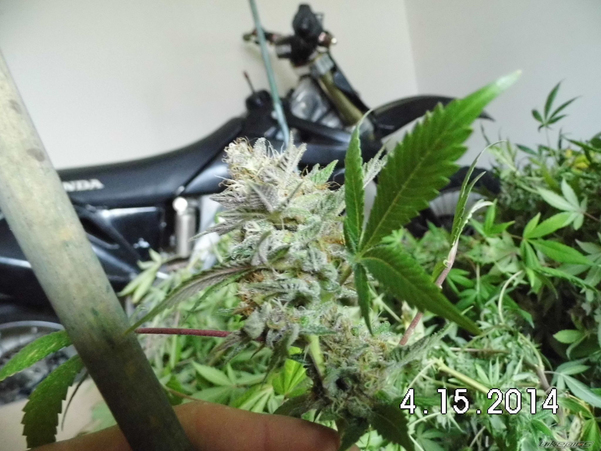 Photo 2791815
