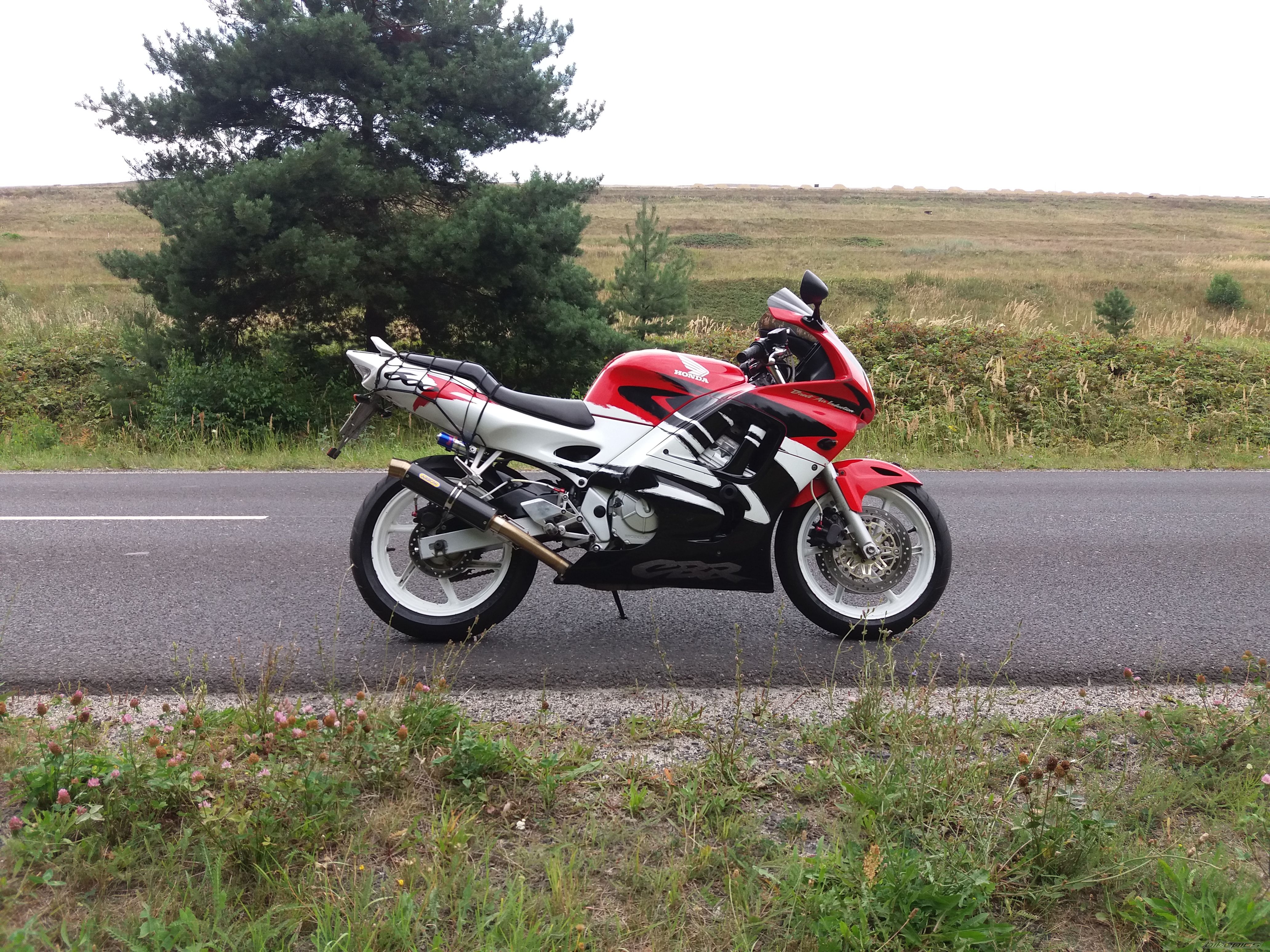 Photo 2792495