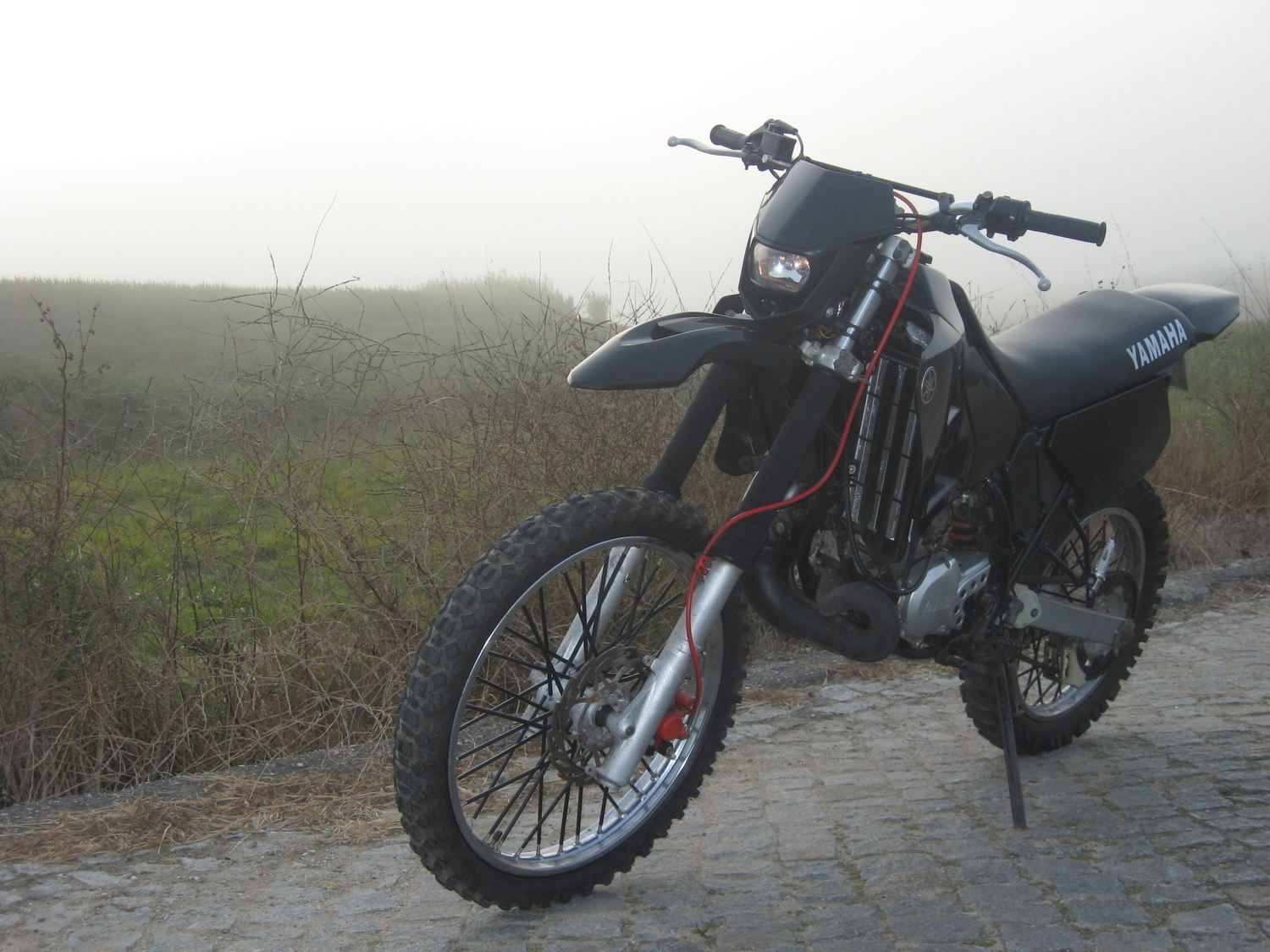 Photo 2793331