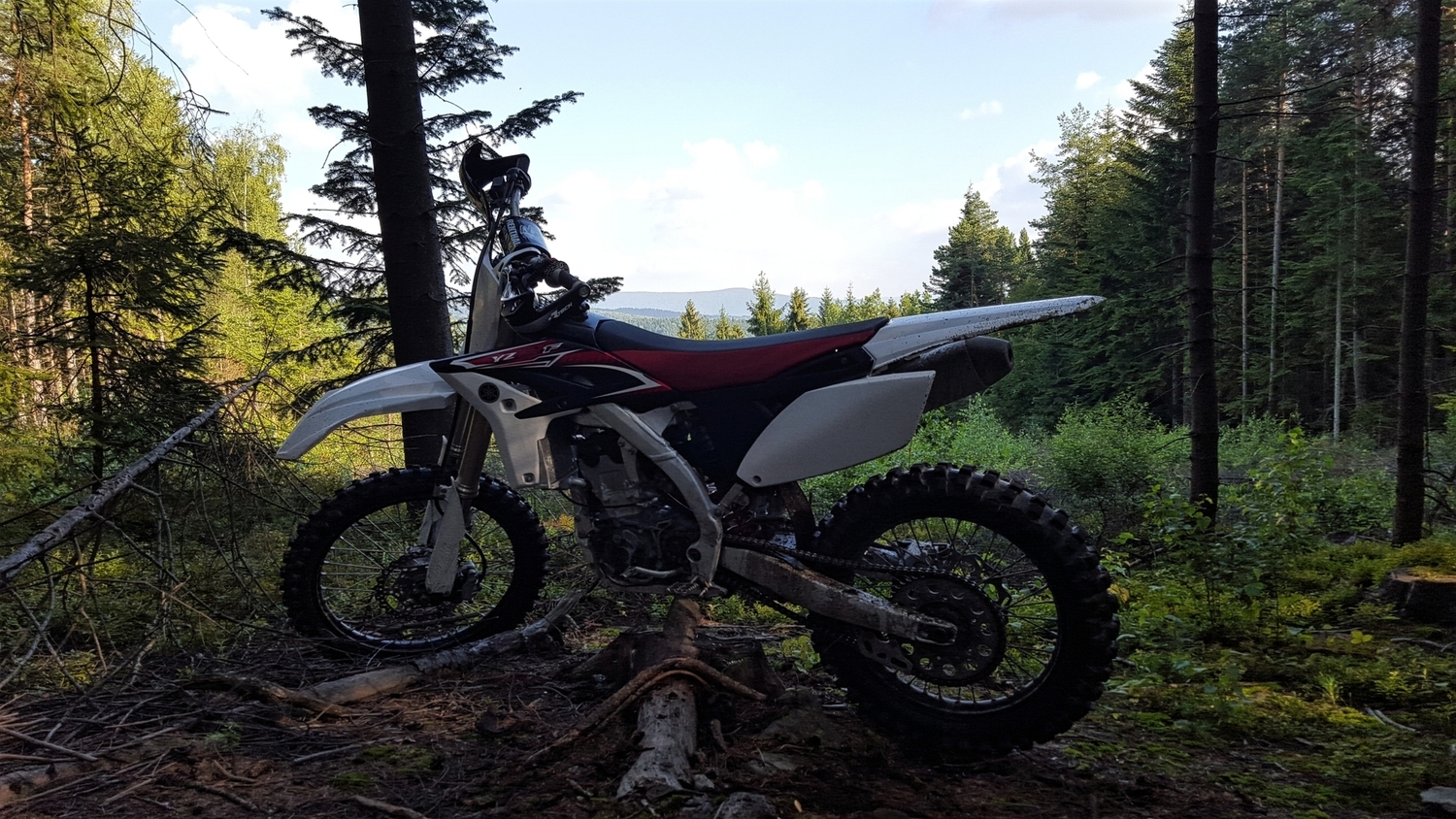 Photo 2793537