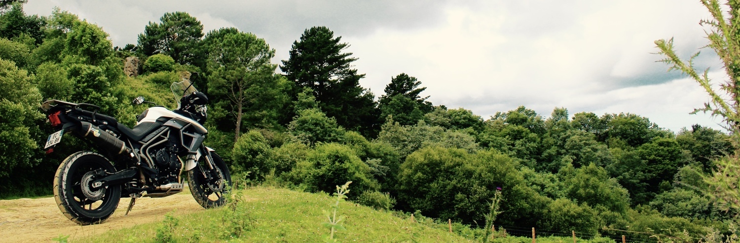 Photo 2793961