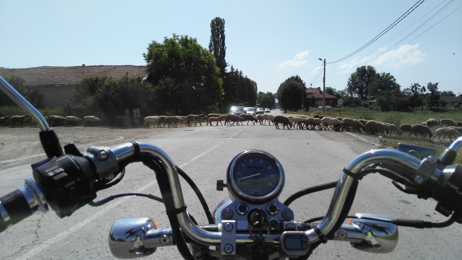 Photo 2794034