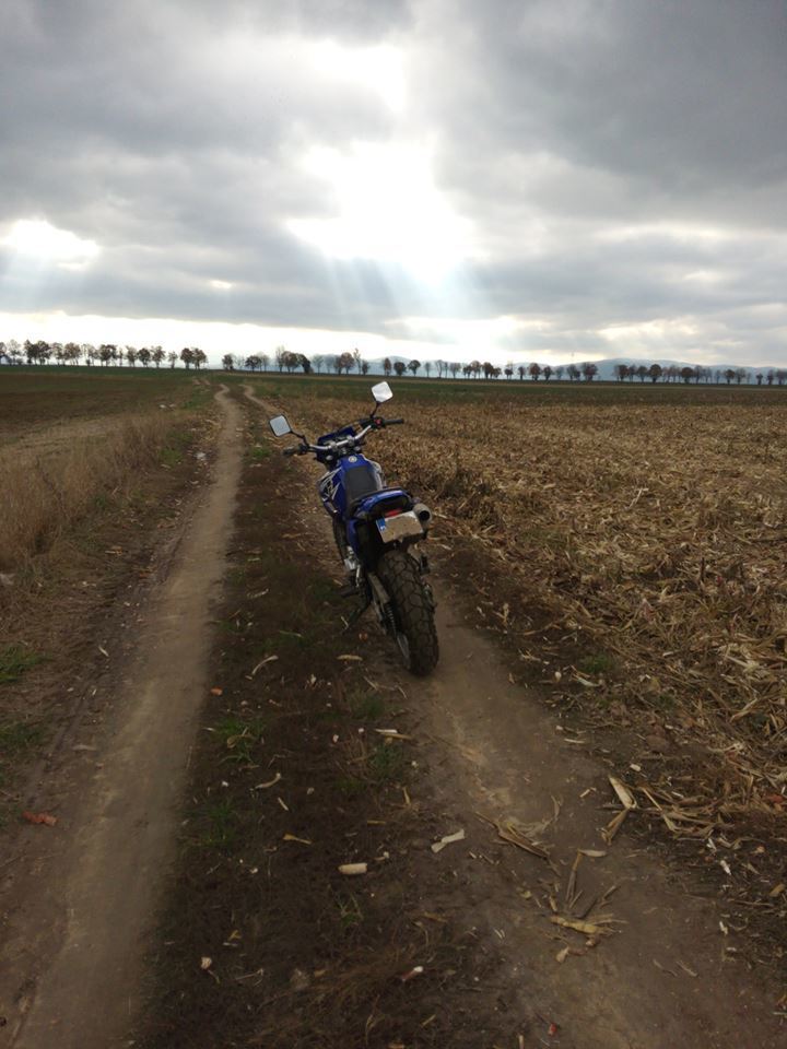Photo 2794699
