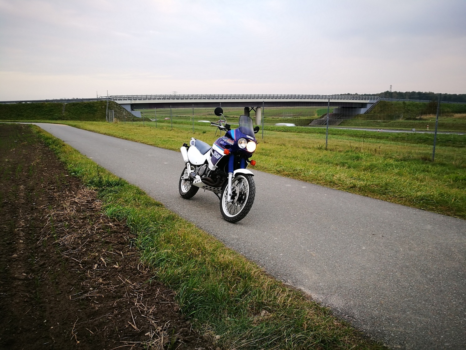 Photo 2795373