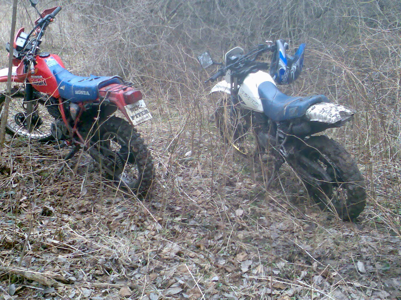 Photo 2795704