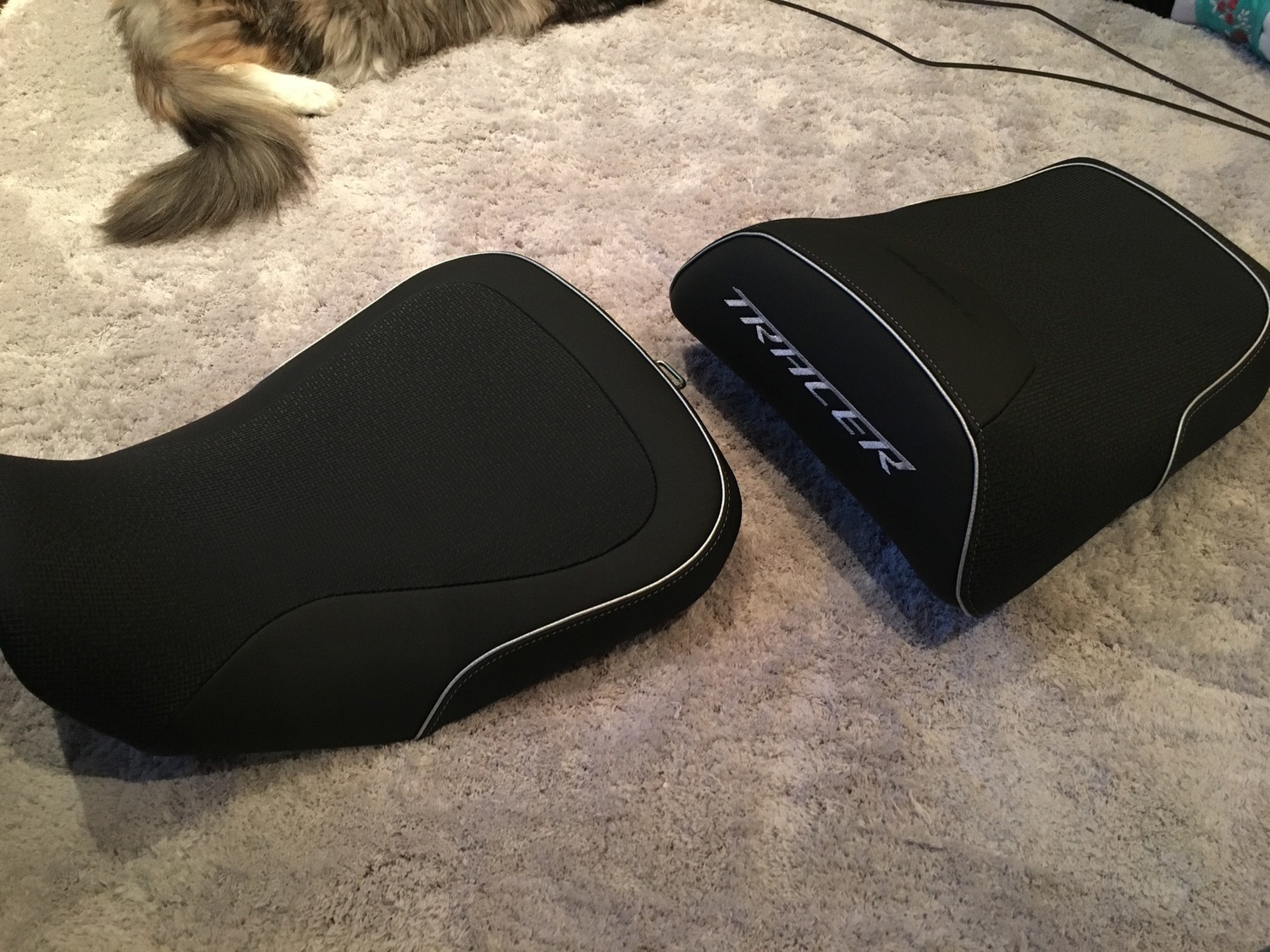 Photo 2795882