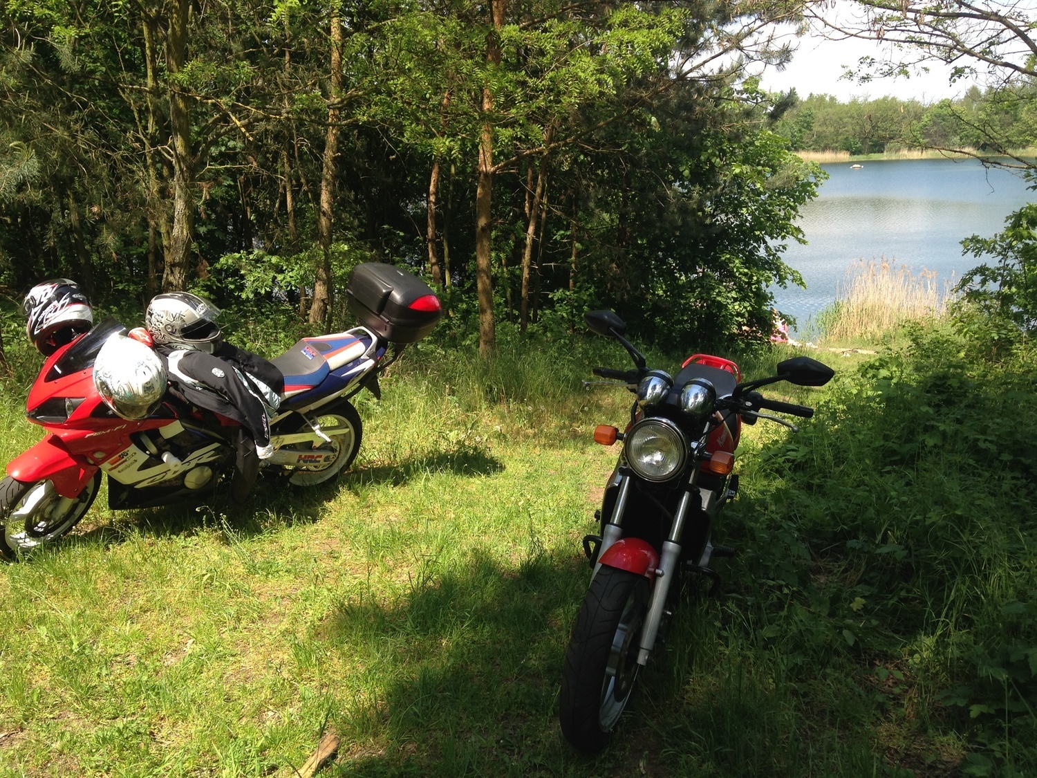 Photo 2796597