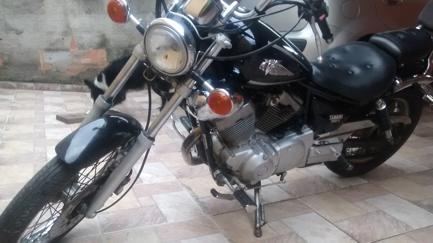Photo 2798669
